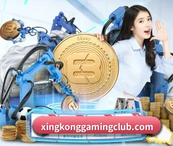 星空电竞官网入口 APP