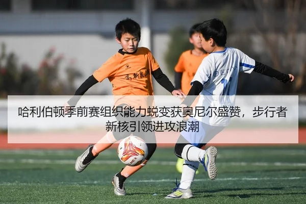 哈利伯顿季前赛组织能力蜕变获奥尼尔盛赞，步行者新核引领进攻浪潮