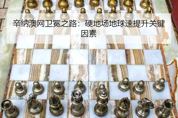 xin-na-ao-wang-wei-mian-zhi-lu-ying-di-chang-di-qiu-su-ti-sheng-guan-jian-yin-su-3-470.jpg
